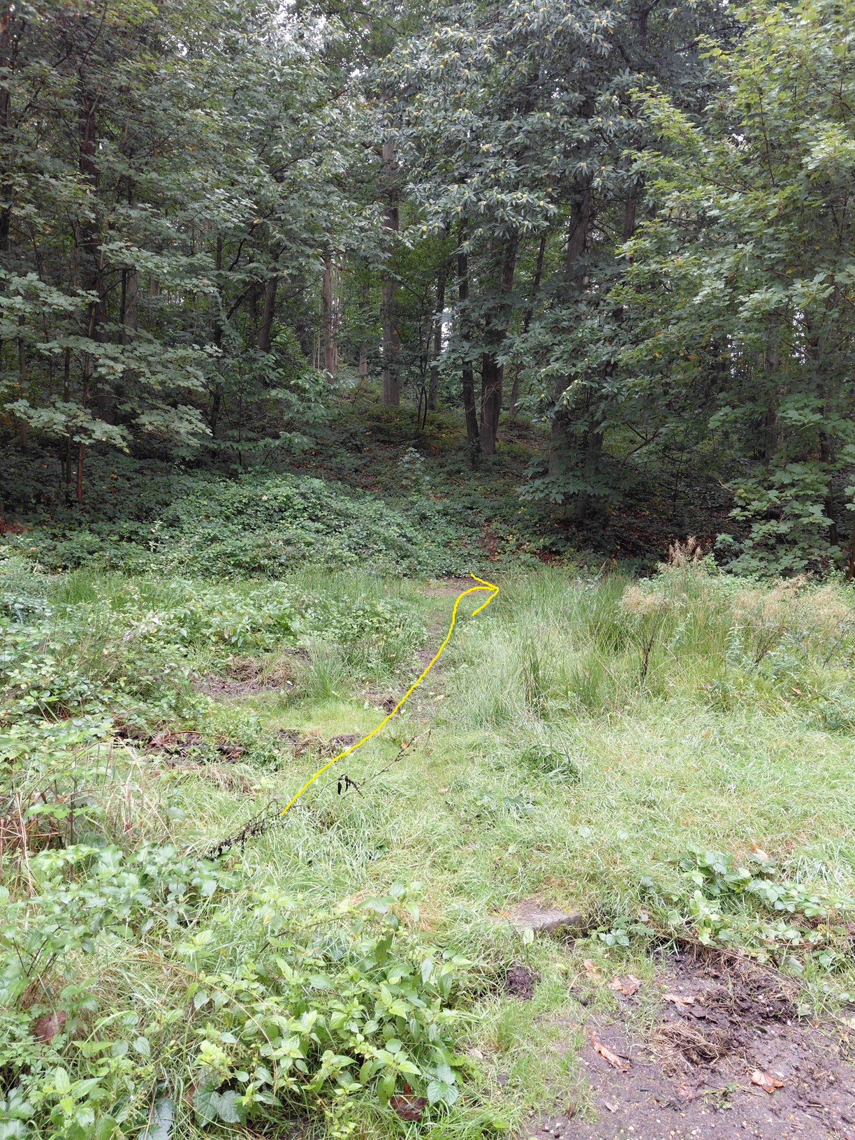 Changement de chemin